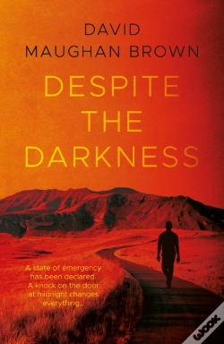 Capa do artigo Despite The Darkness