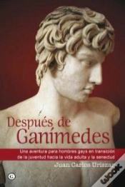 Capa do artigo Después De Ganímedes