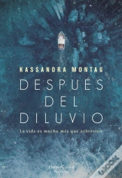 Capa do artigo Después Del Diluvio