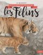 Dessiner Et Peindre Des Felins - Preview