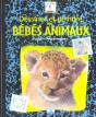 Dessiner Et Peindre Les Bébés Animaux - Preview