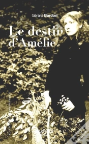 Capa do artigo Destin D Amelie (Le)