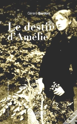 Capa do artigo Destin D Amelie (Le)