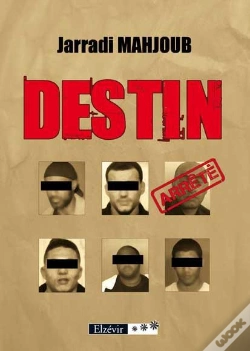 Capa do artigo Destin