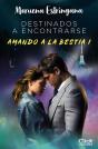 Destinados A Encontrarse - Preview
