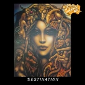 Capa do artigo Destination - Vinil