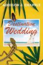 Destination Wedding - Preview
