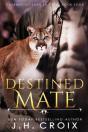 Destined Mate - Preview