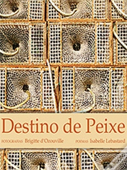 Capa do artigo Destino de Peixe