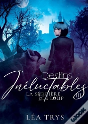 Capa do artigo Destins Inéluctables (La Sorcière & Le Loup T.3)