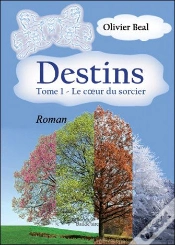 Capa do artigo Destins T.1 ; Le Coeur Du Sorcier