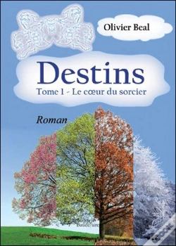 Capa do artigo Destins T.1 ; Le Coeur Du Sorcier
