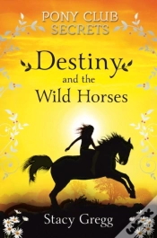 Capa do artigo Destiny And The Wild Horses