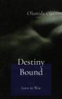 Destiny Bound - Preview