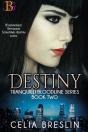 Destiny - Preview