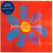 Capa do artigo Destiny Calling - CD