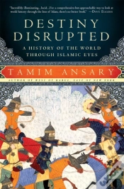 Capa do artigo Destiny Disrupted