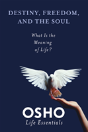 Destiny Freedom & The Soul - Preview