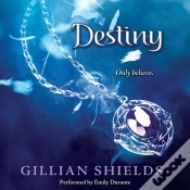 Capa do artigo Destiny