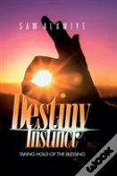 Destiny Instinct: Taking Hold Of The Blessing