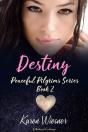 Destiny - Preview