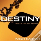 Capa do artigo Destiny