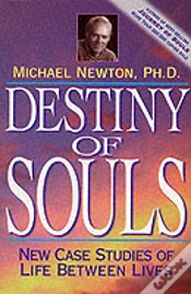 Capa do artigo Destiny Of Souls