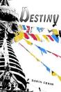 Destiny - Preview