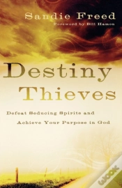Capa do artigo Destiny Thieves Â€“ Defeat Seducing Spirits And Achieve Your Purpose In God