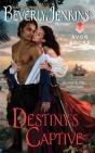 Destiny'S Captive - Preview