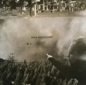 Capa do artigo Destituent - Vinil