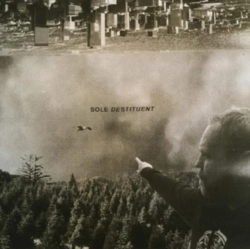 Capa do artigo Destituent - Vinil