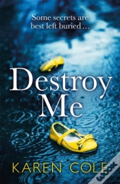 Capa do artigo Destroy Me