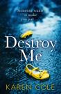 Destroy Me - Preview