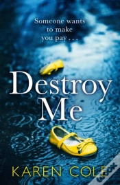Capa do artigo Destroy Me
