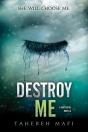 Destroy Me - Preview