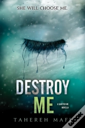 Capa do artigo Destroy Me
