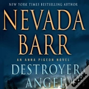 Capa do artigo Destroyer Angel