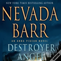 Capa do artigo Destroyer Angel
