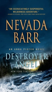 Capa do artigo Destroyer Angel