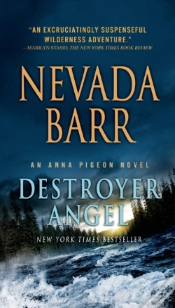 Capa do artigo Destroyer Angel