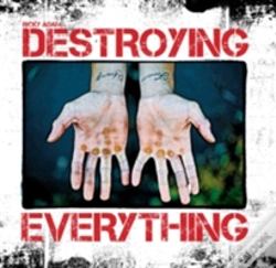 Capa do artigo Destroying Everything...