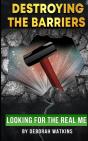 Destroying The Barriers - Preview