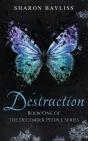 Destruction - Preview