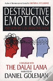 Capa do artigo Destructive Emotions