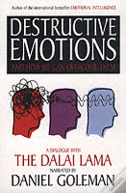 Capa do artigo Destructive Emotions