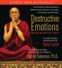 Destructive Emotions: How Can We Overcome Them? - Preview