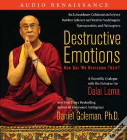Capa do artigo Destructive Emotions: How Can We Overcome Them?