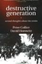 Destructive Generation - Preview