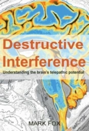 Capa do artigo Destructive Interference